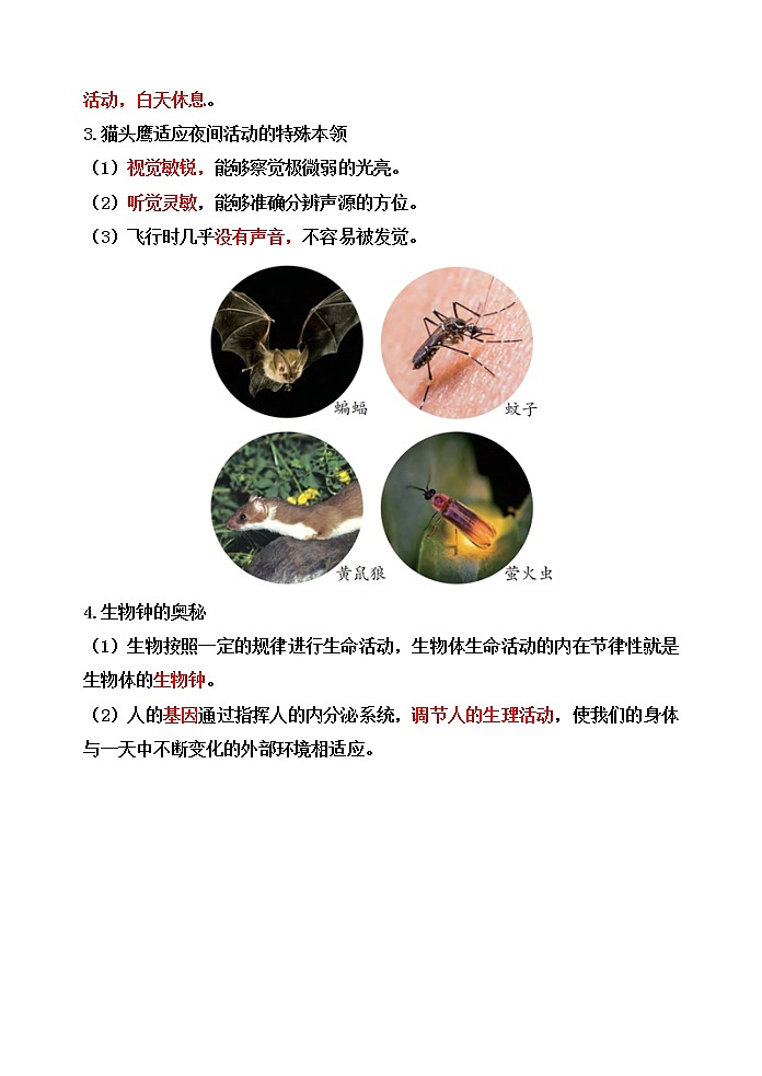 新苏教版科学五下11.昼夜对动物的影响【知识梳理+精典考题】02