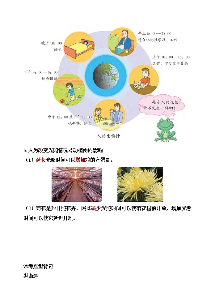 新苏教版科学五下11.昼夜对动物的影响【知识梳理+精典考题】03
