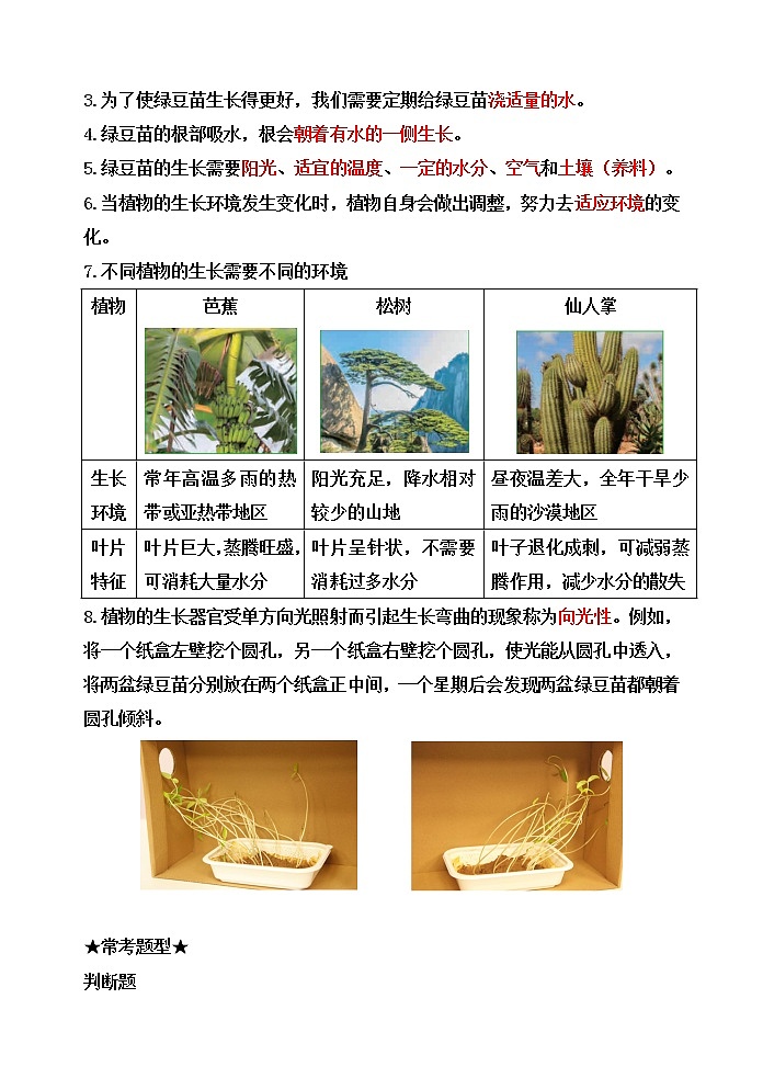 新教科版五年级科学下册1.3绿豆苗的生长 知识梳理+精典考题02