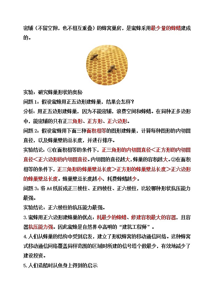 新苏教版科学五下5.生物的启示【知识梳理+精典考题】第2页