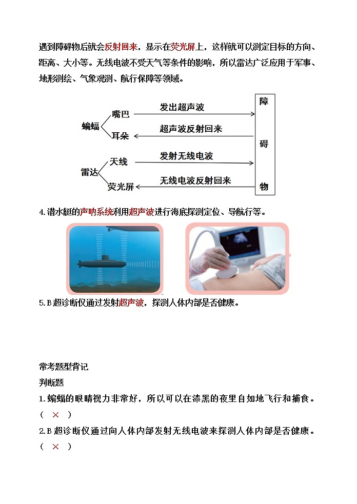 新苏教版科学五下7.蝙蝠和雷达【知识梳理+精典考题】02