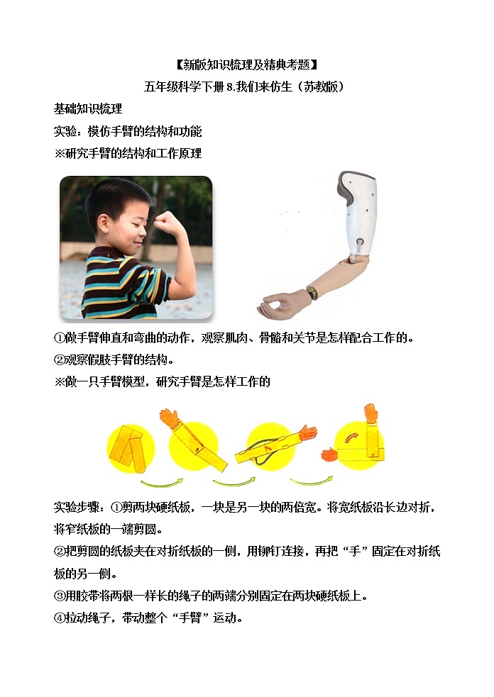 新苏教版科学五下8.我们来仿生【知识梳理+精典考题】01