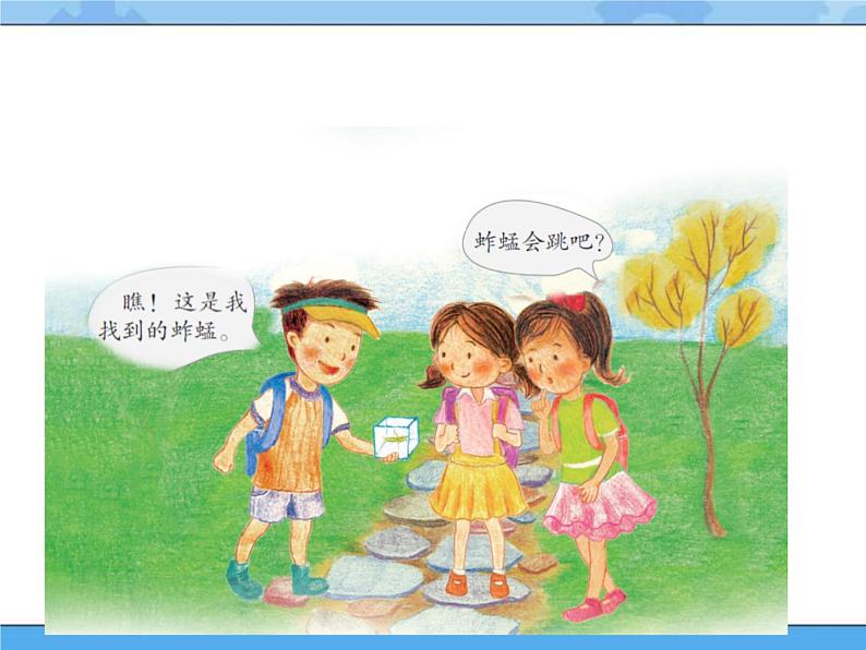 13 观察小动物 课件+教案02