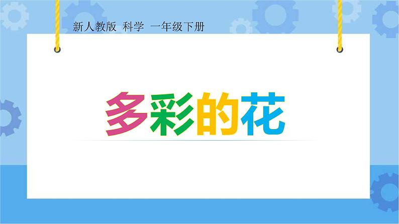 人教鄂教版小学科学一年级下册1.2 多彩的花 PPT课件01