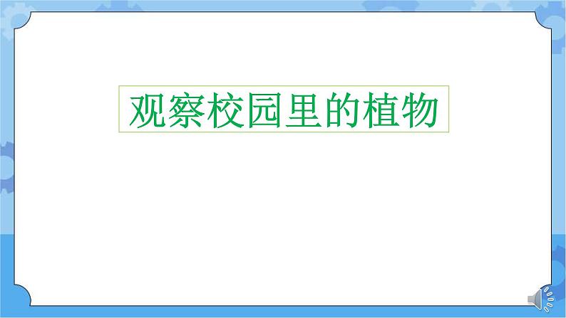 人教鄂教版小学科学一年级下册1.3 观察校园里的植物 PPT课件+教案+观察记录表+视频02