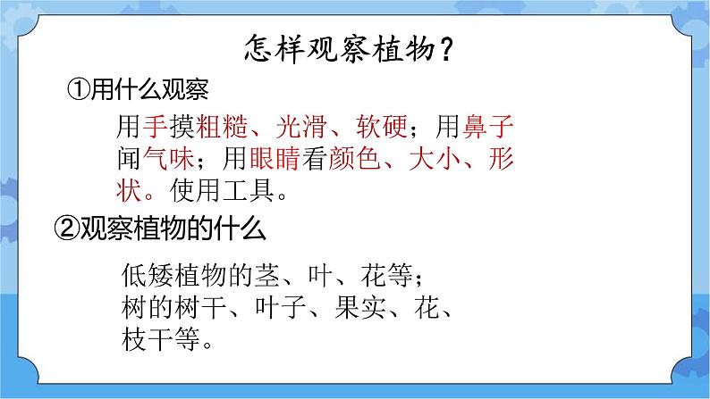 人教鄂教版小学科学一年级下册1.3 观察校园里的植物 PPT课件+教案+观察记录表+视频03