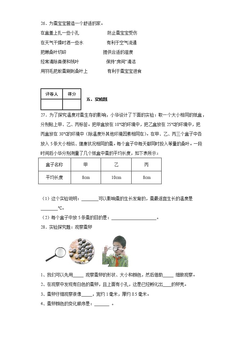 2.1迎接蚕宝宝的到来 练习第3页