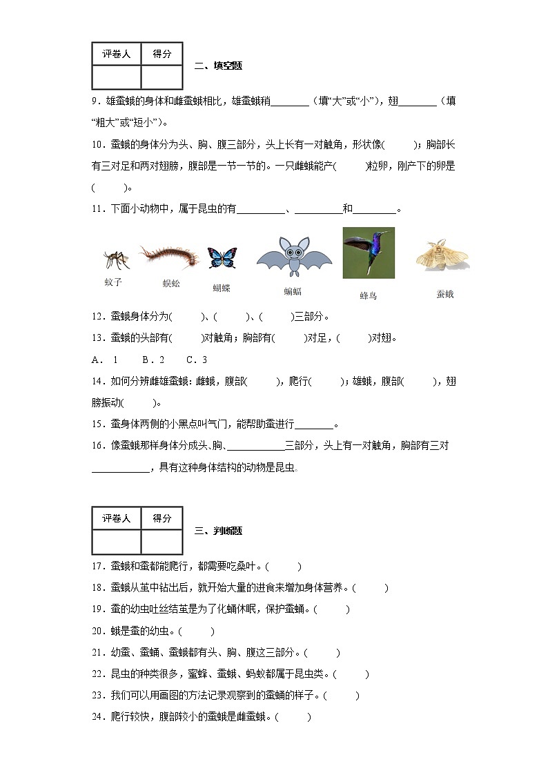 2.5 茧中钻出了蚕蛾 练习02