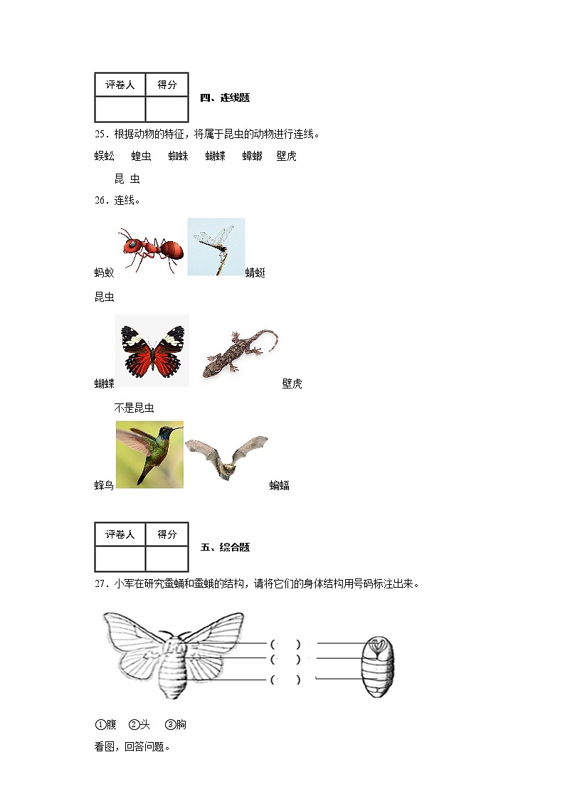 2.5 茧中钻出了蚕蛾 练习03
