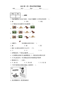 科学四年级下册9 蚕的一生优秀课后作业题