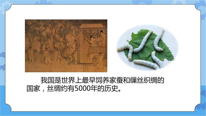 新人教鄂教版四年级下册2.5《蚕出生了》PPT课件+教学设计02