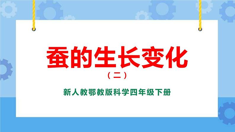 新人教鄂教版四年级下册2.7《蚕的生长变化》PPT课件+教案01