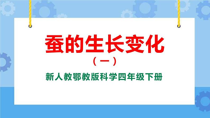 新人教鄂教版四年级下册2.7《蚕的生长变化》PPT课件+教案01