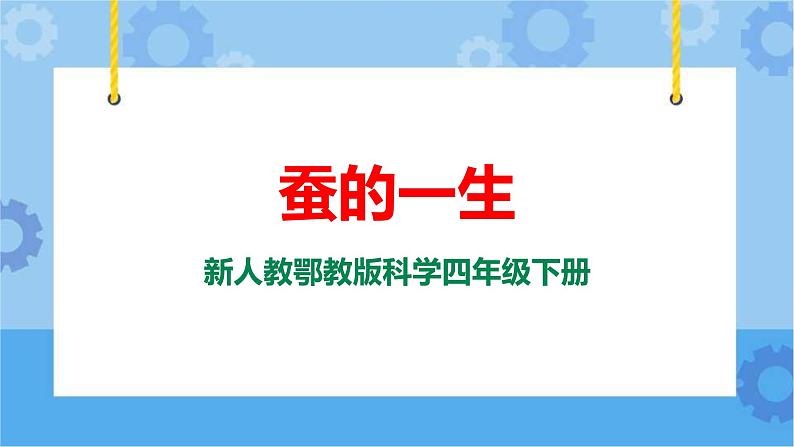 新人教鄂教版四年级下册2.8《蚕的一生》PPT课件+教案01