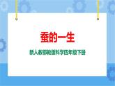 新人教鄂教版四年级下册2.8《蚕的一生》PPT课件+教案