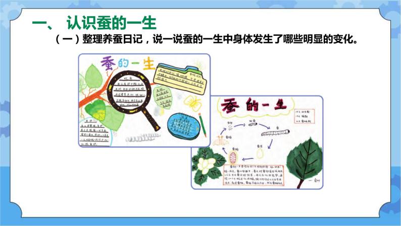 新人教鄂教版四年级下册2.8《蚕的一生》PPT课件+教案04