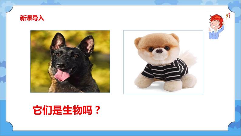 鄂教人教版四年级科学下册 9 生物与非生物 课件PPT+教案+视频02