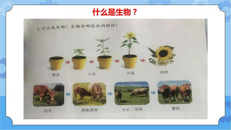 鄂教人教版四年级科学下册 9 生物与非生物 课件PPT+教案+视频05
