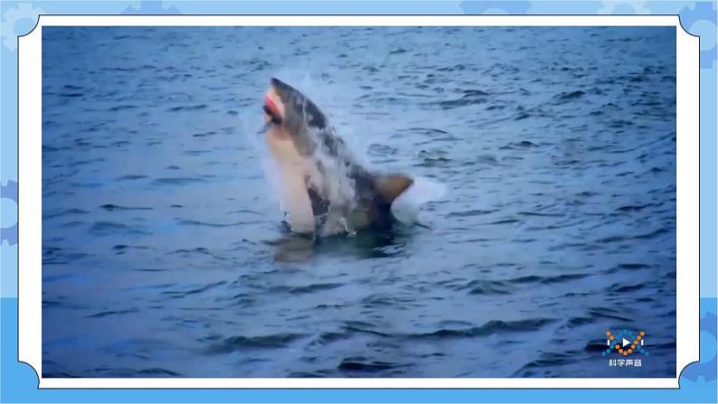 鄂教人教版四年级科学下册 9 生物与非生物 课件PPT+教案+视频06