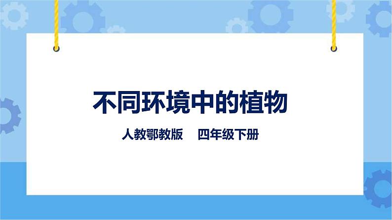 鄂教人教版四年级科学下册 10 不同环境中的植物 课件PPT+教案+内嵌视频01