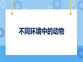 鄂教人教版四年级科学下册 11不同环境中的动物 课件PPT+教案+视频素材