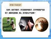 鄂教人教版四年级科学下册 15 会变的影子 课件PPT