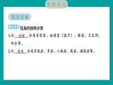 1.1 了解我们的住房（习题课件+知识点梳理）教科版六年级科学下册