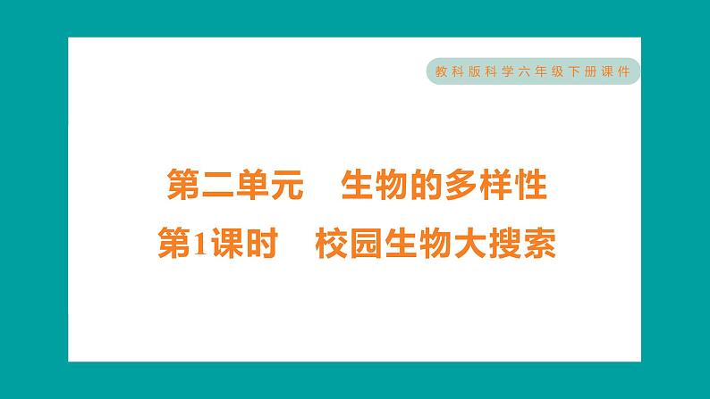 2.1 校园生物大搜索（习题课件+知识点梳理）教科版六年级科学下册01