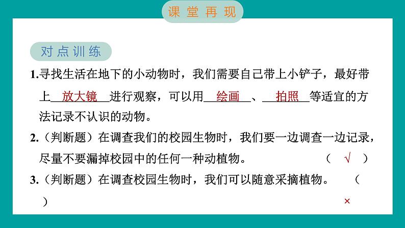 2.1 校园生物大搜索（习题课件+知识点梳理）教科版六年级科学下册05