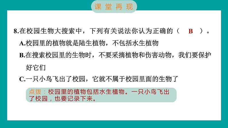 2.1 校园生物大搜索（习题课件+知识点梳理）教科版六年级科学下册08