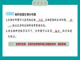 2.2 制作校园生物分布图（习题课件+知识点梳理）教科版六年级科学下册