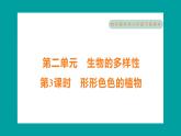 2.3 形形色色的植物（习题课件+知识点梳理）教科版六年级科学下册