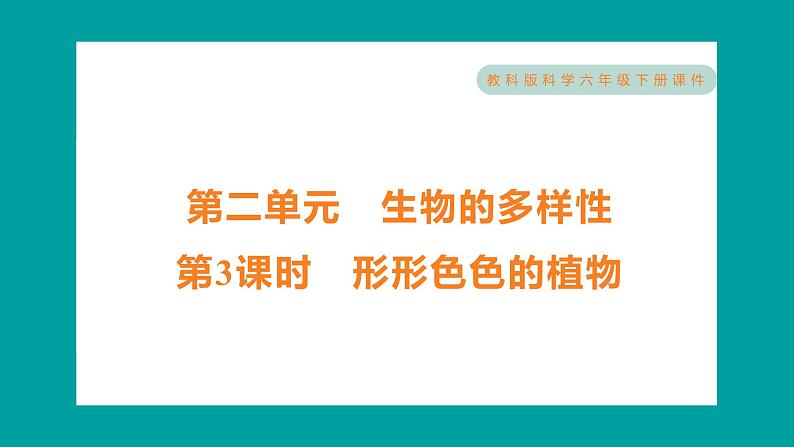 2.3 形形色色的植物（习题课件+知识点梳理）教科版六年级科学下册01