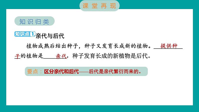 2.3 形形色色的植物（习题课件+知识点梳理）教科版六年级科学下册02