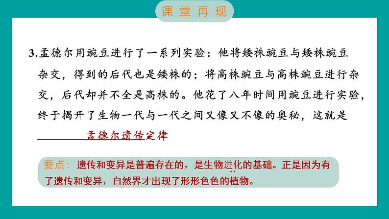 2.3 形形色色的植物（习题课件+知识点梳理）教科版六年级科学下册04