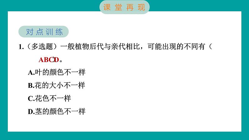 2.3 形形色色的植物（习题课件+知识点梳理）教科版六年级科学下册05