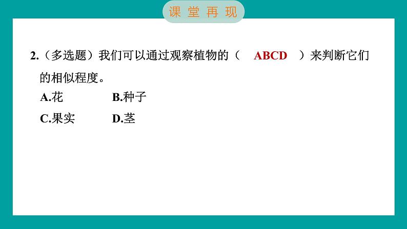 2.3 形形色色的植物（习题课件+知识点梳理）教科版六年级科学下册06