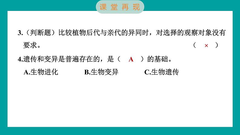 2.3 形形色色的植物（习题课件+知识点梳理）教科版六年级科学下册07