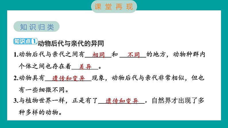 2.4 多种多样的动物（习题课件+知识点梳理）教科版六年级科学下册02