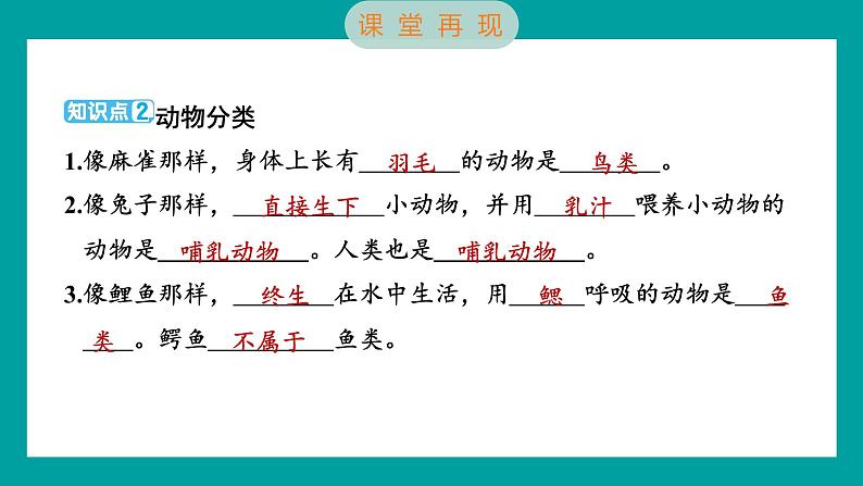 2.4 多种多样的动物（习题课件+知识点梳理）教科版六年级科学下册03