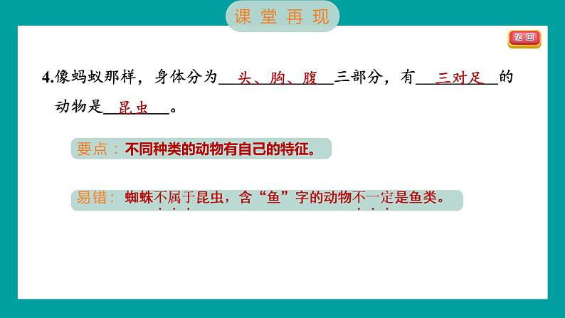 2.4 多种多样的动物（习题课件+知识点梳理）教科版六年级科学下册04