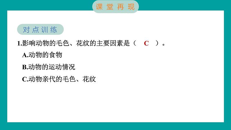 2.4 多种多样的动物（习题课件+知识点梳理）教科版六年级科学下册05