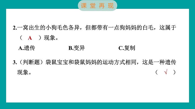 2.4 多种多样的动物（习题课件+知识点梳理）教科版六年级科学下册06