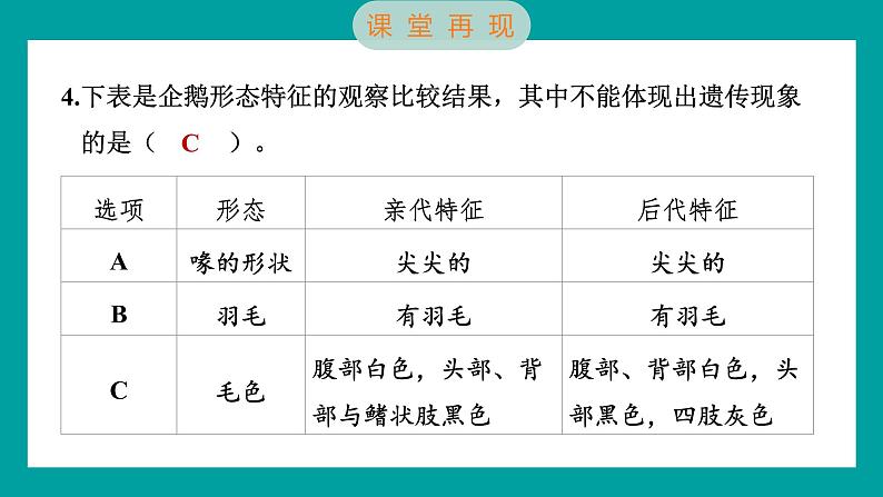 2.4 多种多样的动物（习题课件+知识点梳理）教科版六年级科学下册07