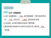 2.5 相貌各異的我們（習(xí)題課件+知識點(diǎn)梳理）教科版六年級科學(xué)下冊