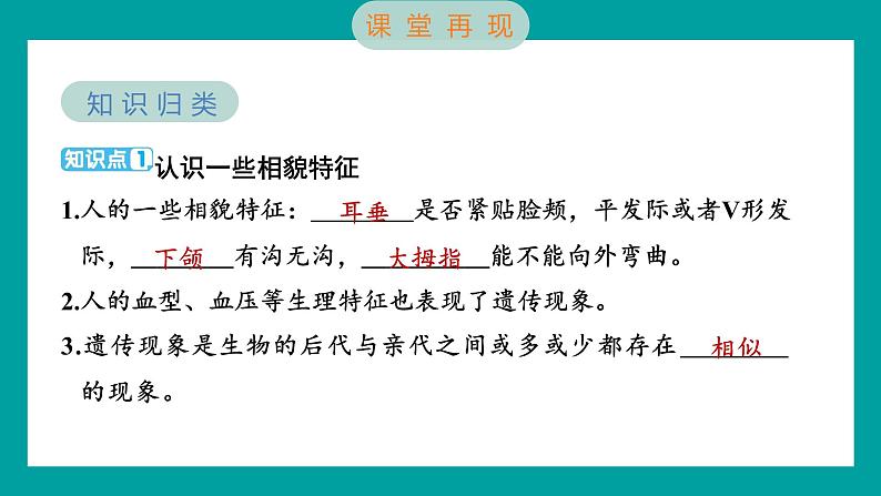 2.5 相貌各异的我们（习题课件+知识点梳理）教科版六年级科学下册02