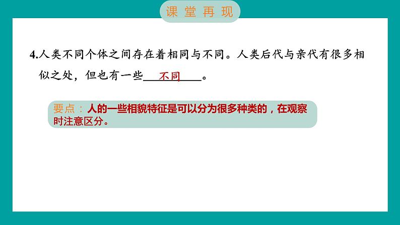 2.5 相貌各异的我们（习题课件+知识点梳理）教科版六年级科学下册03