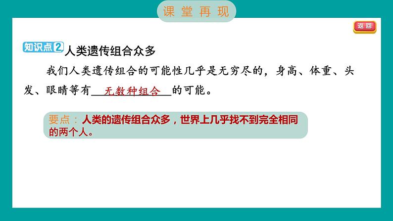 2.5 相貌各异的我们（习题课件+知识点梳理）教科版六年级科学下册04