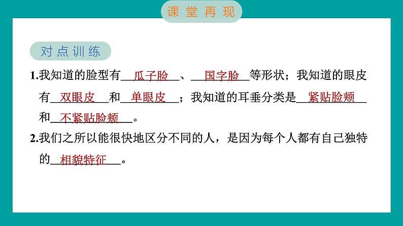 2.5 相貌各异的我们（习题课件+知识点梳理）教科版六年级科学下册05