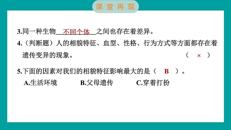 2.5 相貌各异的我们（习题课件+知识点梳理）教科版六年级科学下册06